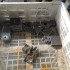 filtri_gac_SAIPEM31