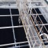 torre_percolatore12